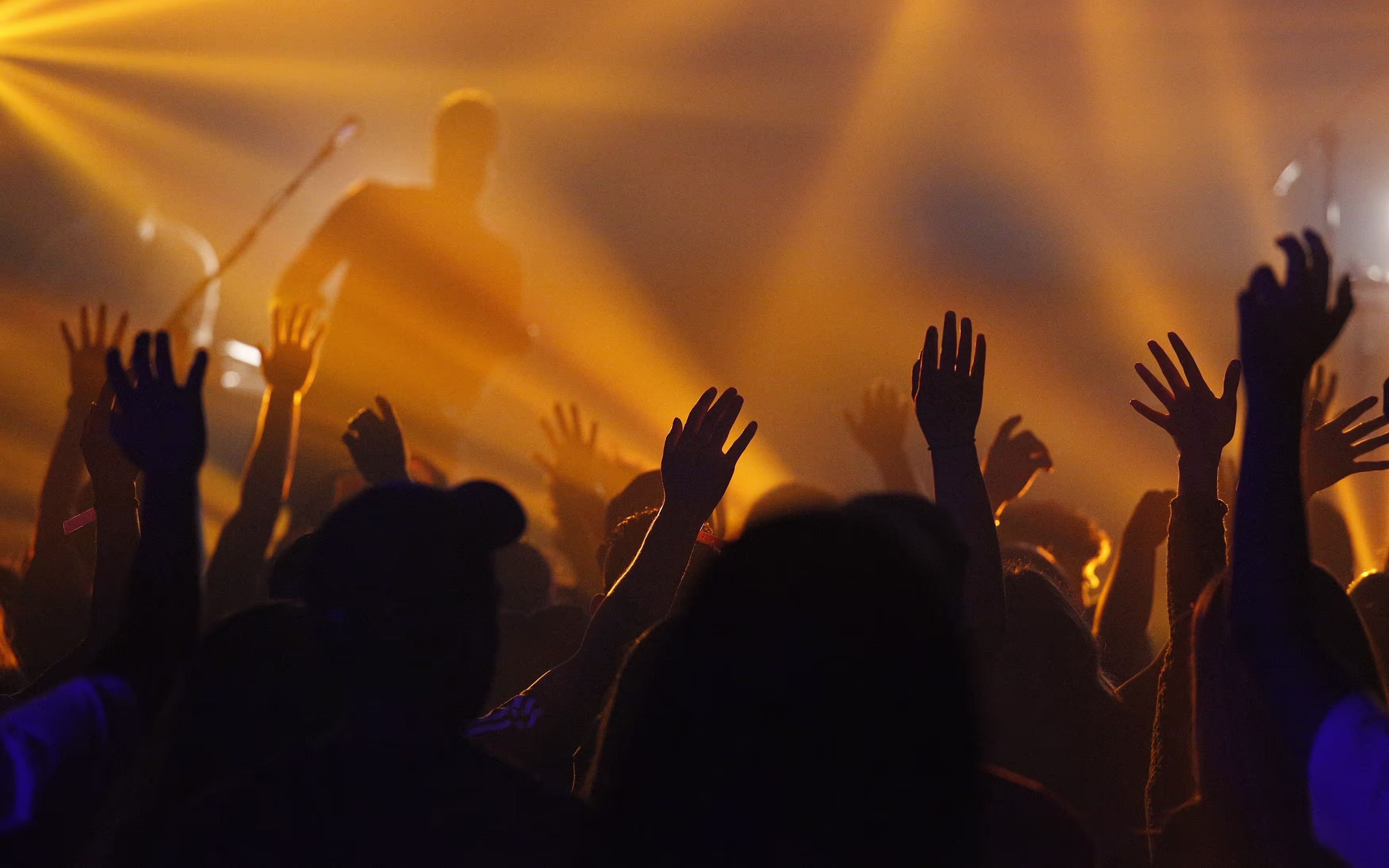 A crowd with hands in the air at a live show